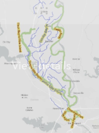 Interactive Map